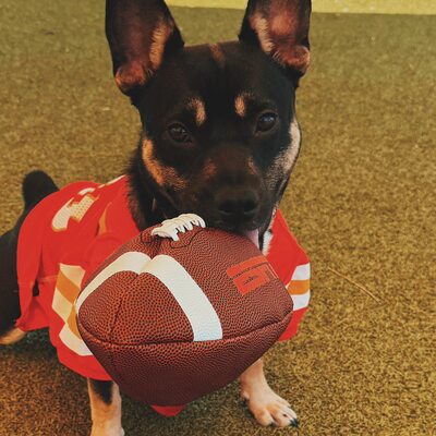 Football Season is here