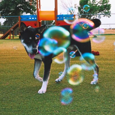 Bubbles!