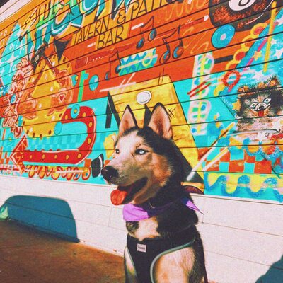 Artsy